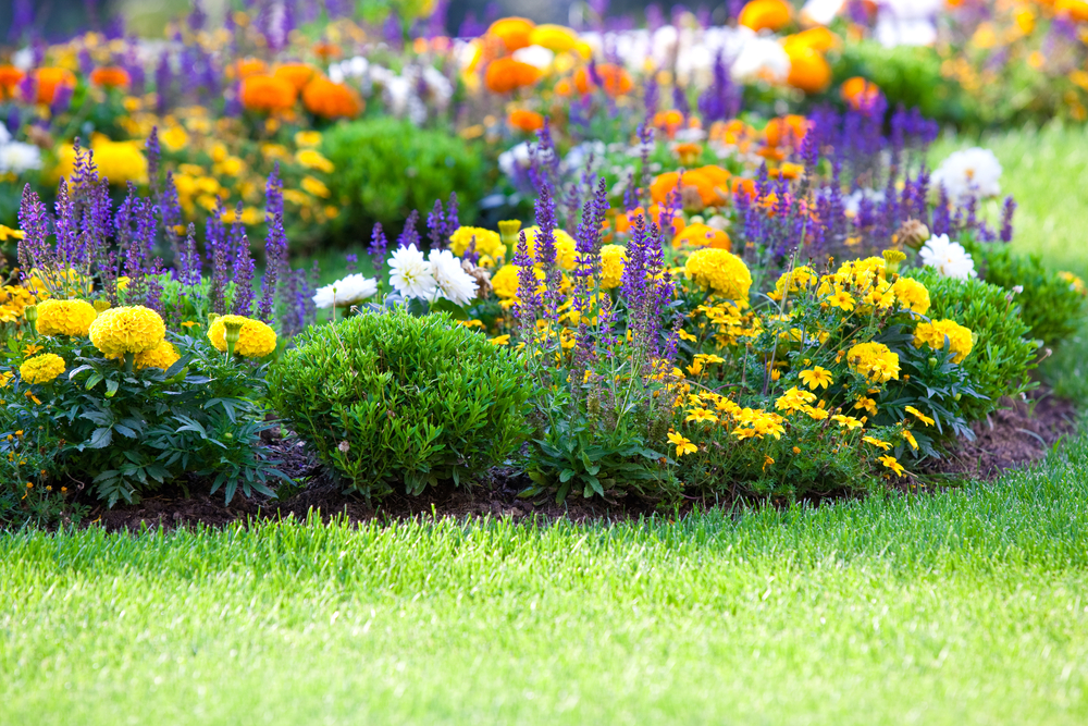 Are You Struggling to Sell Your Home? Maybe it has no Kerb Appeal