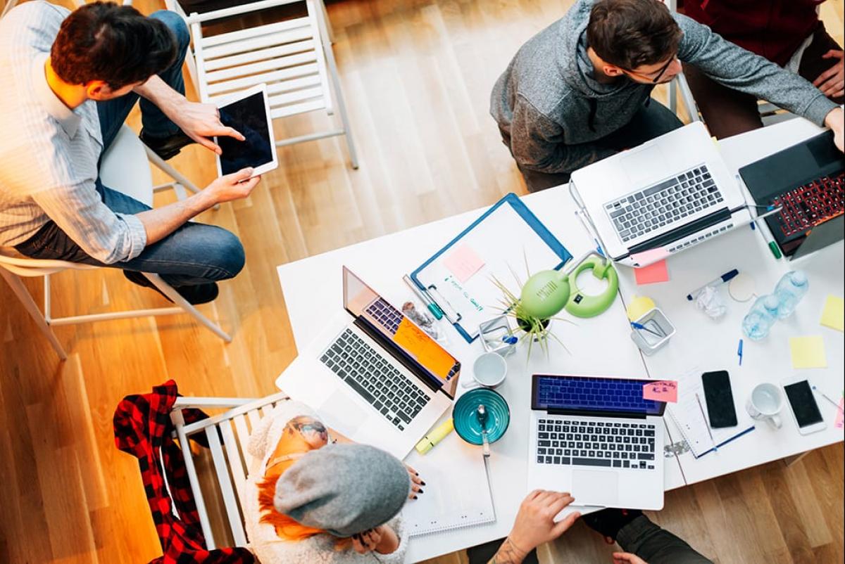 Avoiding Amateur Web Designers